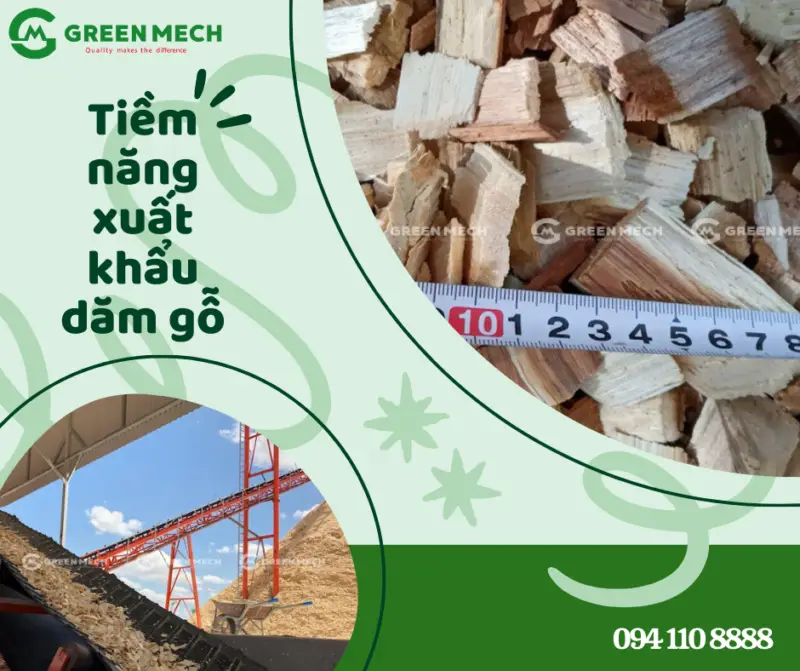 Tiềm năng xuất khẩu dăm gỗ