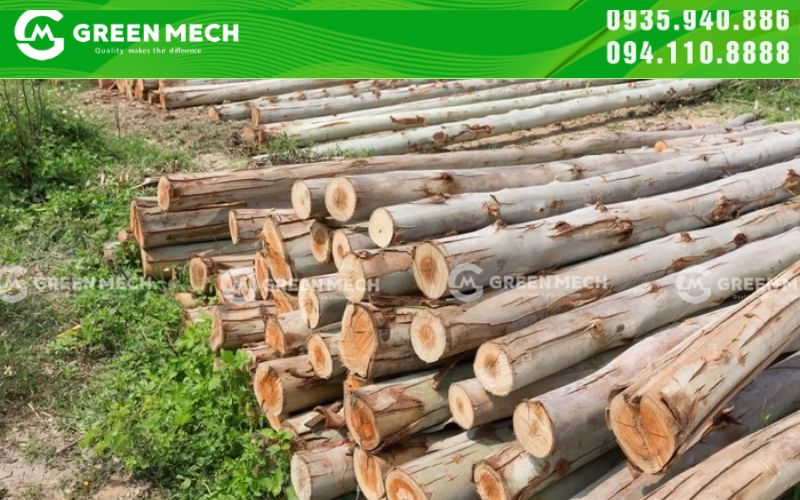 Bóc sạch vỏ keo mà không làm hư tổn lõi gỗ.